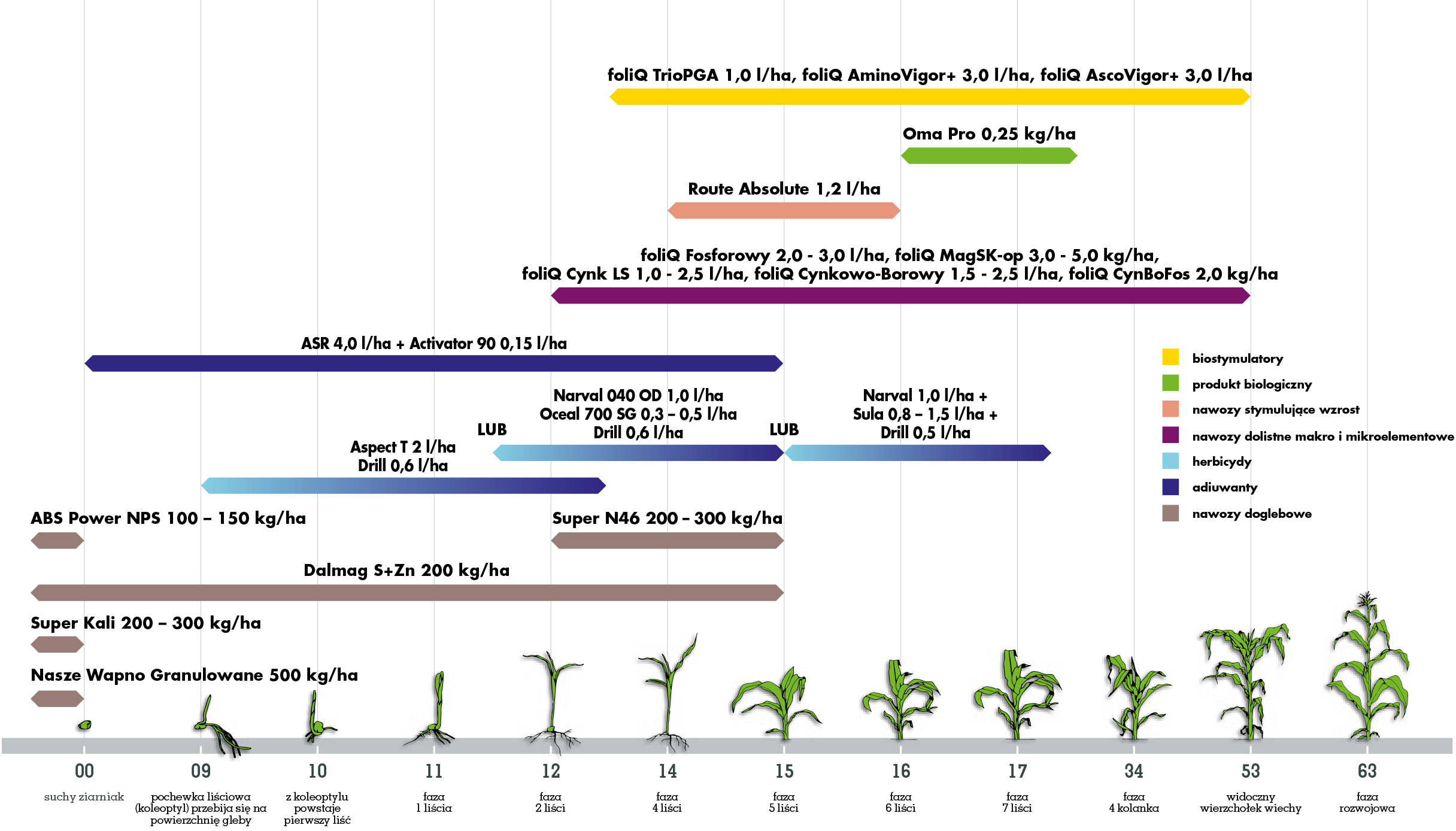 Ochrona kukurydzy Agrii