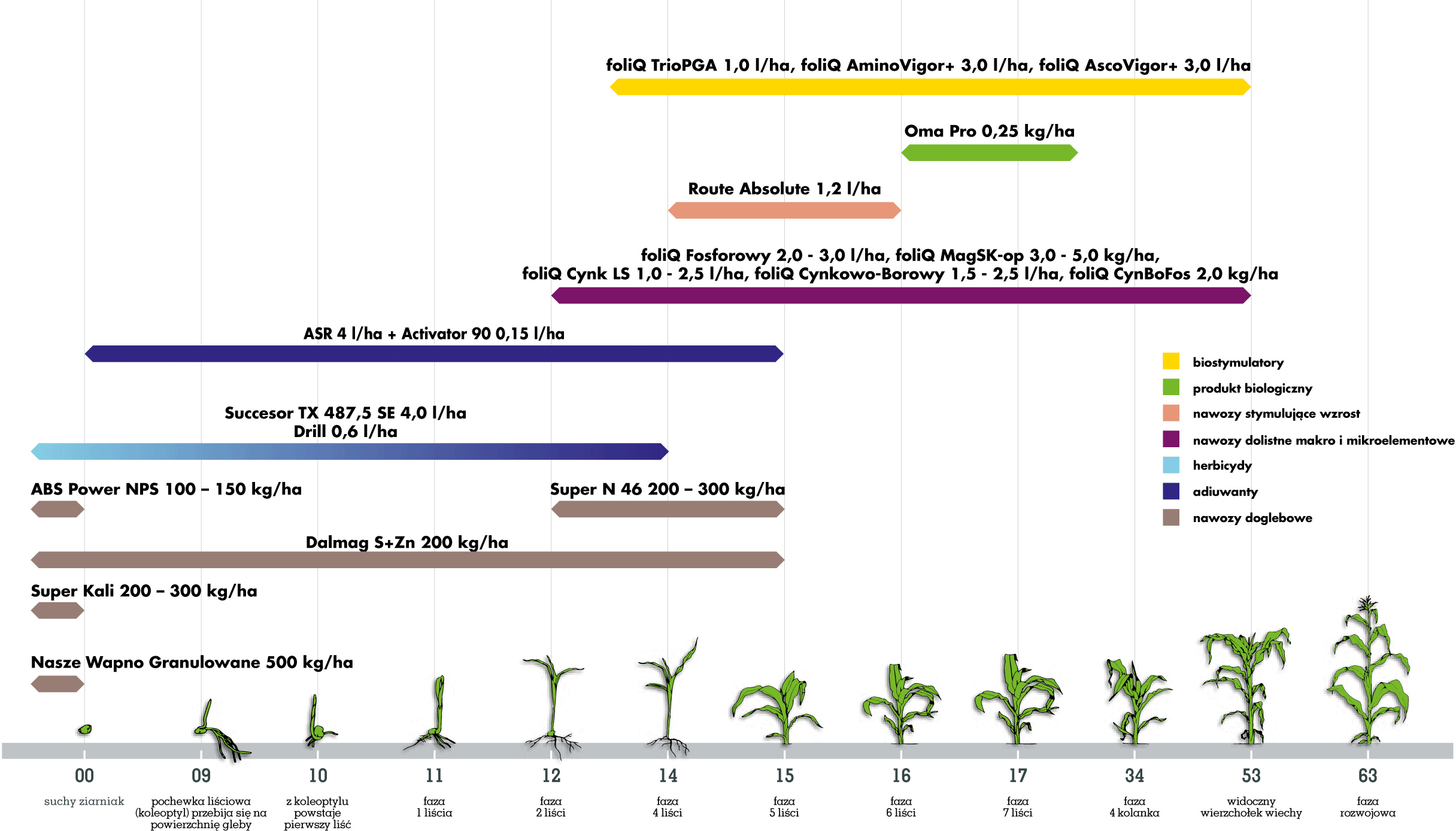 Ochrona kukurydzy Agrii