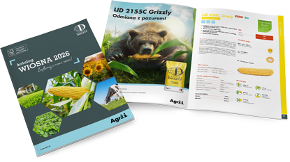 Katalog 2026 Agrii Kukurydza